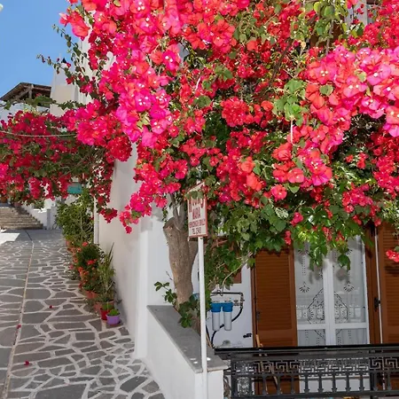 Maria Apartamento Naxos City